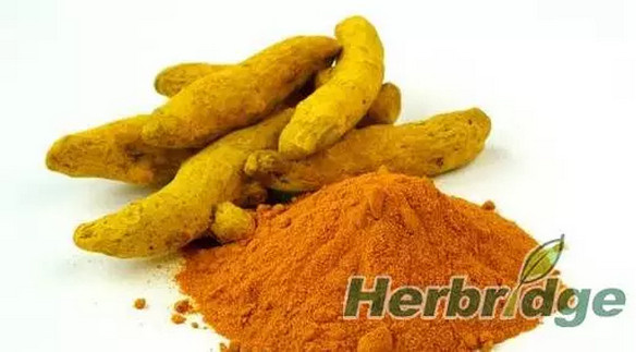 76AB.tmp_副本.jpg 76AB.tmp_副本.jpg